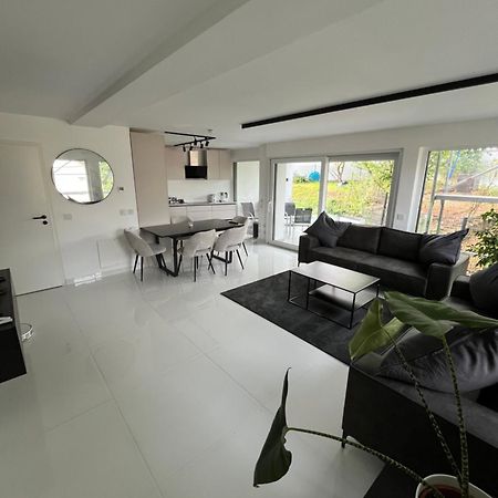 2 Moderne Wohnung Nahe Museum Sinsheim Dış mekan fotoğraf